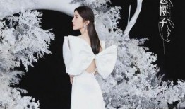 明星爆料赵樱子视频,揭秘明星幕后生活片段